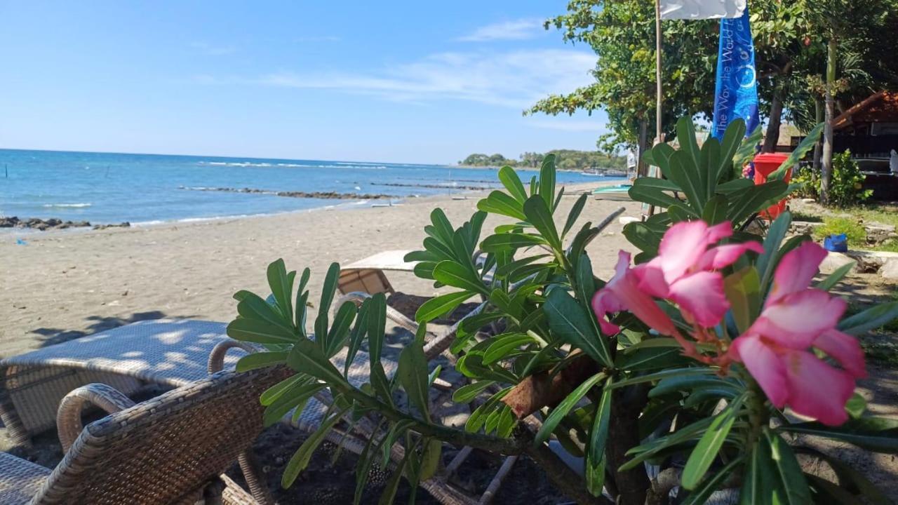 The Beach Bungalows & Turtle Sanctuary Pemuteran Exterior foto